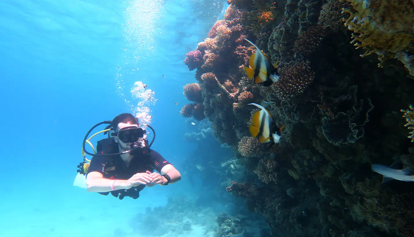 Egypt International Diving